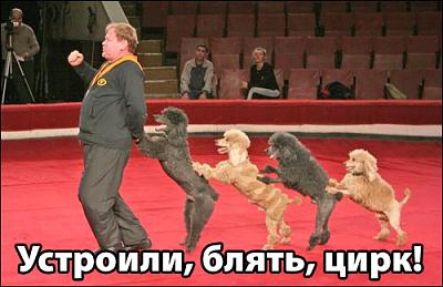 Нажмите на изображение для увеличения
Название: 1291568489866.jpg
Просмотров: 193
Размер:	59.4 Кб
ID:	10008