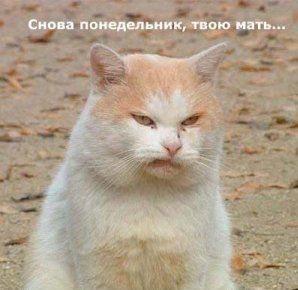 Название: 82242369tk1.jpg
Просмотров: 1211

Размер: 17.2 Кб