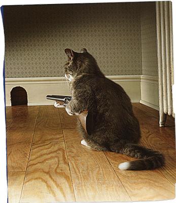 Нажмите на изображение для увеличения
Название: 1294519286922.jpg
Просмотров: 353
Размер:	372.1 Кб
ID:	10885