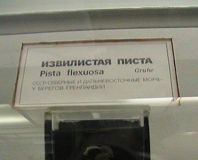 Нажмите на изображение для увеличения
Название: 19.jpg
Просмотров: 176
Размер:	54.0 Кб
ID:	10926