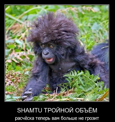 Нажмите на изображение для увеличения
Название: 70.jpg
Просмотров: 154
Размер:	92.7 Кб
ID:	10982