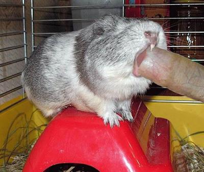 Нажмите на изображение для увеличения
Название: 1285021325103.jpg
Просмотров: 517
Размер:	78.9 Кб
ID:	12579