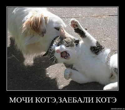 Нажмите на изображение для увеличения
Название: 09vhotorkmlr.jpg
Просмотров: 199
Размер:	66.3 Кб
ID:	12795