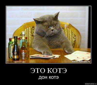 Нажмите на изображение для увеличения
Название: 353c64vkfxx1.jpg
Просмотров: 207
Размер:	53.9 Кб
ID:	12796