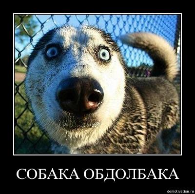 Нажмите на изображение для увеличения
Название: aoqguaglid6e.jpg
Просмотров: 209
Размер:	65.2 Кб
ID:	12797