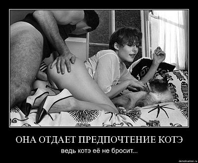 Нажмите на изображение для увеличения
Название: cfju88fa6bel.jpg
Просмотров: 216
Размер:	79.4 Кб
ID:	12798