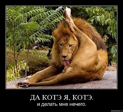 Нажмите на изображение для увеличения
Название: izpr8rsu1adj.jpg
Просмотров: 205
Размер:	88.5 Кб
ID:	12802