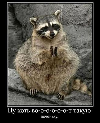 Нажмите на изображение для увеличения
Название: 1a342167810.jpg
Просмотров: 168
Размер:	56.9 Кб
ID:	12808