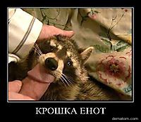 Название: 14989-kroshka_enot.jpg
Просмотров: 1366

Размер: 14.5 Кб