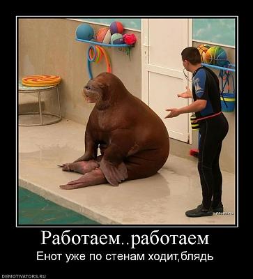 Нажмите на изображение для увеличения
Название: 22341_rabotaemrabotaem.jpg
Просмотров: 168
Размер:	69.7 Кб
ID:	12812