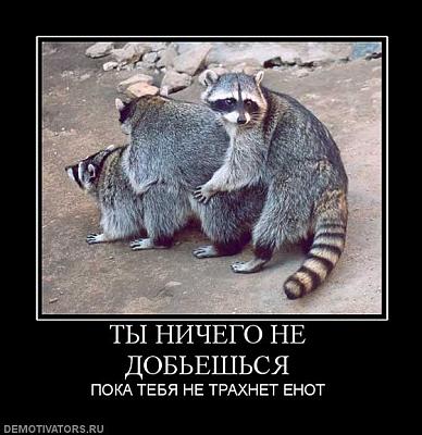 Нажмите на изображение для увеличения
Название: 474776_tyi-nichego-ne-dobeshsya.jpg
Просмотров: 174
Размер:	53.0 Кб
ID:	12817