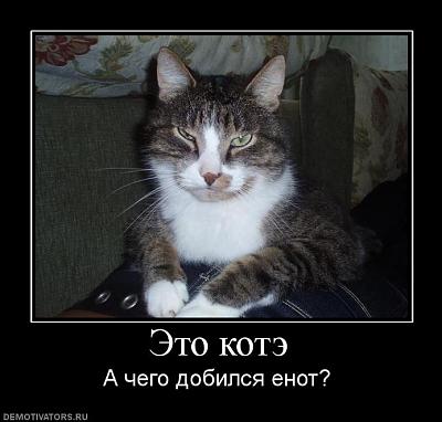 Нажмите на изображение для увеличения
Название: 601784_eto-kote.jpg
Просмотров: 177
Размер:	52.8 Кб
ID:	12819