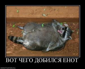 Название: 872268_vot-chego-dobilsya-enot.thumbnail.jpg
Просмотров: 1397

Размер: 12.9 Кб