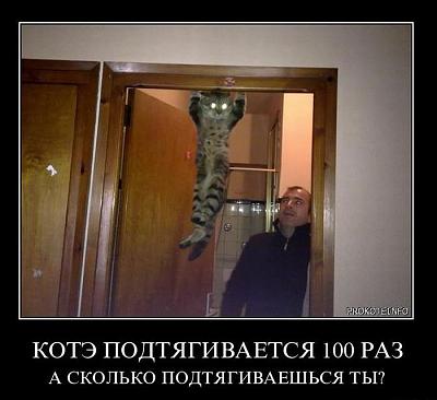 Нажмите на изображение для увеличения
Название: 21.jpg
Просмотров: 182
Размер:	59.2 Кб
ID:	13352
