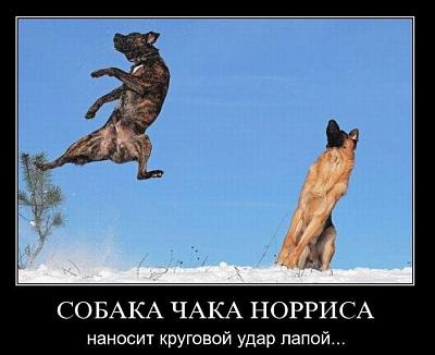 Нажмите на изображение для увеличения
Название: 23.jpg
Просмотров: 173
Размер:	55.0 Кб
ID:	13354