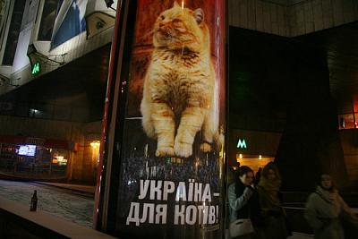 Нажмите на изображение для увеличения
Название: 75.jpg
Просмотров: 155
Размер:	43.4 Кб
ID:	13405