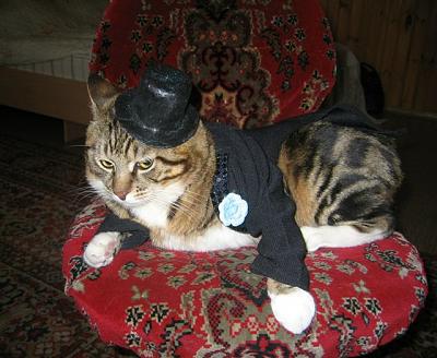 Нажмите на изображение для увеличения
Название: 1298541977610.jpg
Просмотров: 294
Размер:	63.1 Кб
ID:	13668