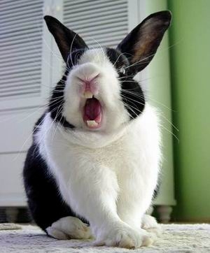 Название: 1298627371998.jpg
Просмотров: 1549

Размер: 51.3 Кб