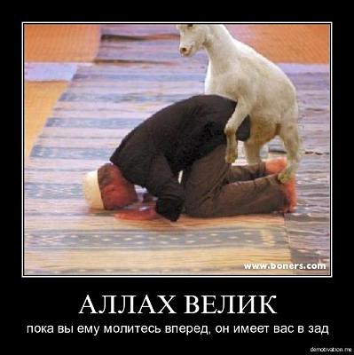 Нажмите на изображение для увеличения
Название: fpzyqy8x263e.jpg
Просмотров: 203
Размер:	42.9 Кб
ID:	13804
