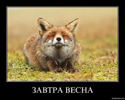 Нажмите на изображение для увеличения
Название: 40f0y20v280c.jpg
Просмотров: 229
Размер:	48.0 Кб
ID:	13807
