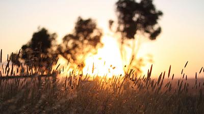 Нажмите на изображение для увеличения
Название: 133994-1920x1080.jpg
Просмотров: 150
Размер:	433.9 Кб
ID:	13987