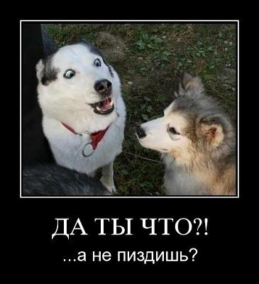 Нажмите на изображение для увеличения
Название: 1299394168551.jpg
Просмотров: 414
Размер:	30.9 Кб
ID:	14069