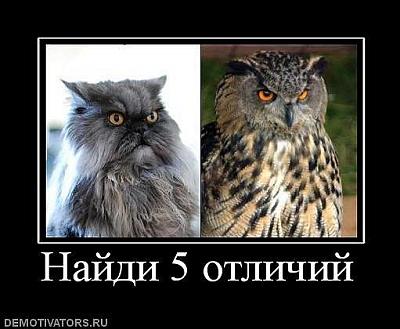 Нажмите на изображение для увеличения
Название: 56369804_x_df5024dc.jpg
Просмотров: 183
Размер:	41.4 Кб
ID:	14998