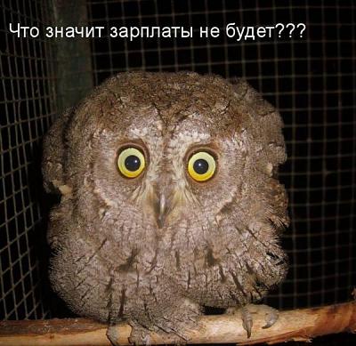 Нажмите на изображение для увеличения
Название: 16.jpg
Просмотров: 142
Размер:	60.6 Кб
ID:	15180