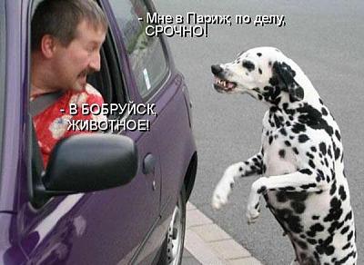 Нажмите на изображение для увеличения
Название: 1.jpg
Просмотров: 183
Размер:	41.4 Кб
ID:	15225