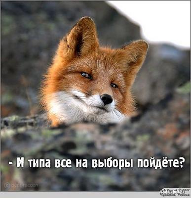 Нажмите на изображение для увеличения
Название: 29.jpg
Просмотров: 131
Размер:	61.3 Кб
ID:	15967