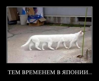 Нажмите на изображение для увеличения
Название: 18.jpg
Просмотров: 222
Размер:	37.8 Кб
ID:	17969