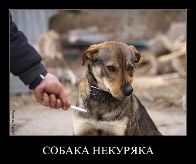Нажмите на изображение для увеличения
Название: 25.jpg
Просмотров: 220
Размер:	66.7 Кб
ID:	17976