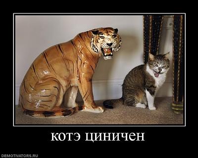 Нажмите на изображение для увеличения
Название: 721721_kote-tsinichen.jpg
Просмотров: 324
Размер:	52.8 Кб
ID:	18490