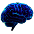Название: brain.png
Просмотров: 555

Размер: 10.4 Кб