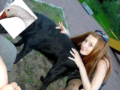 Нажмите на изображение для увеличения
Название: c9339abb452611e1b1a873e5207519b7.jpg
Просмотров: 212
Размер:	705.5 Кб
ID:	19372