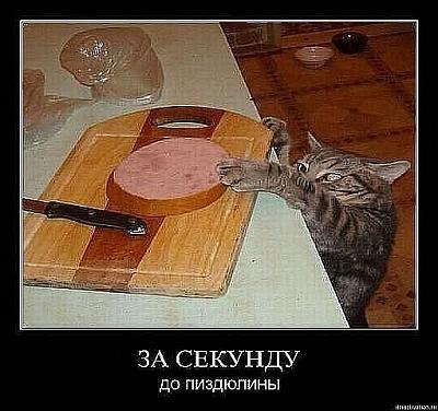Нажмите на изображение для увеличения
Название: x_6e86a5f5.jpg
Просмотров: 167
Размер:	60.4 Кб
ID:	21110