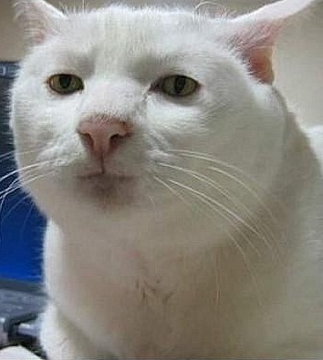 Название: x_5d1d3202.jpg
Просмотров: 331

Размер: 36.6 Кб