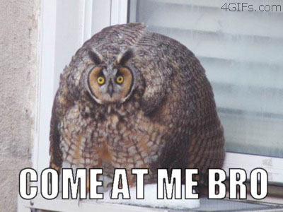 Название: Comeatme_owl.jpg
Просмотров: 319

Размер: 30.3 Кб