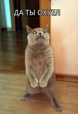 Нажмите на изображение для увеличения
Название: 1308348255959.jpg
Просмотров: 112
Размер:	166.6 Кб
ID:	23036