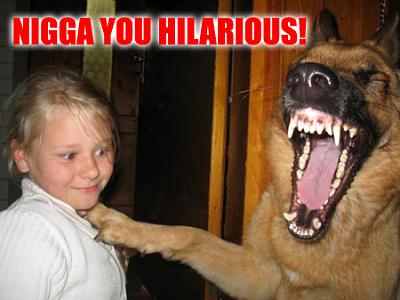 Нажмите на изображение для увеличения
Название: ngauhilarious.jpg
Просмотров: 182
Размер:	129.9 Кб
ID:	23881