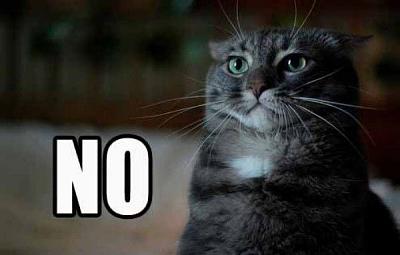 Нажмите на изображение для увеличения
Название: Nocat.jpg
Просмотров: 178
Размер:	30.2 Кб
ID:	23882