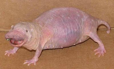 Нажмите на изображение для увеличения
Название: 1311795208272.jpg
Просмотров: 123
Размер:	65.8 Кб
ID:	24111