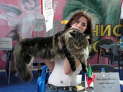 Нажмите на изображение для увеличения
Название: 8341.jpg
Просмотров: 161
Размер:	80.2 Кб
ID:	24331