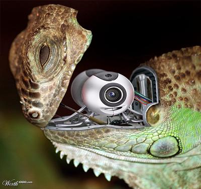 Нажмите на изображение для увеличения
Название: 702163_c9ad_1024x2000.jpg
Просмотров: 221
Размер:	148.4 Кб
ID:	2436