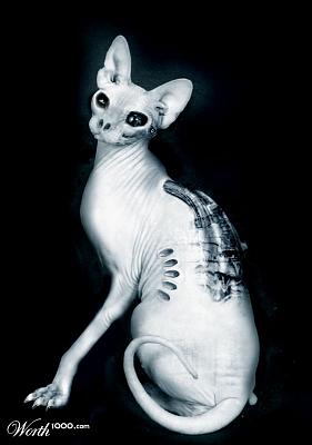 Нажмите на изображение для увеличения
Название: 777432_4d42_1024x2000.jpg
Просмотров: 204
Размер:	39.0 Кб
ID:	2438