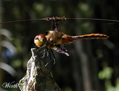 Нажмите на изображение для увеличения
Название: 798723_d00c_1024x2000.jpg
Просмотров: 154
Размер:	32.5 Кб
ID:	2439
