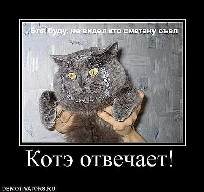 Нажмите на изображение для увеличения
Название: x_b000ba9b.jpg
Просмотров: 146
Размер:	58.5 Кб
ID:	24398