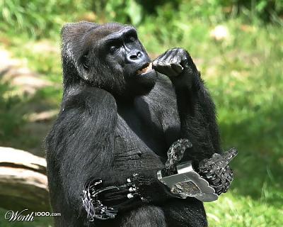 Нажмите на изображение для увеличения
Название: 821106_a12f_1024x2000.jpg
Просмотров: 148
Размер:	83.4 Кб
ID:	2440