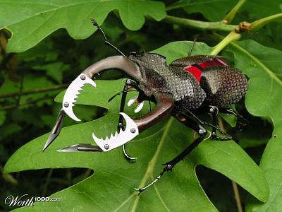 Нажмите на изображение для увеличения
Название: 821204_8429_1024x2000.jpg
Просмотров: 152
Размер:	72.3 Кб
ID:	2441