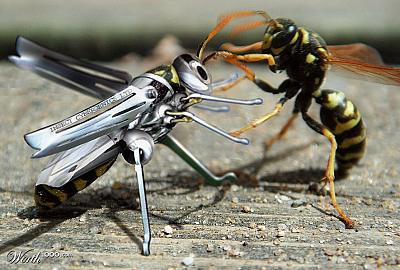 Нажмите на изображение для увеличения
Название: 843489_0ee2_1024x2000.jpg
Просмотров: 157
Размер:	119.6 Кб
ID:	2443